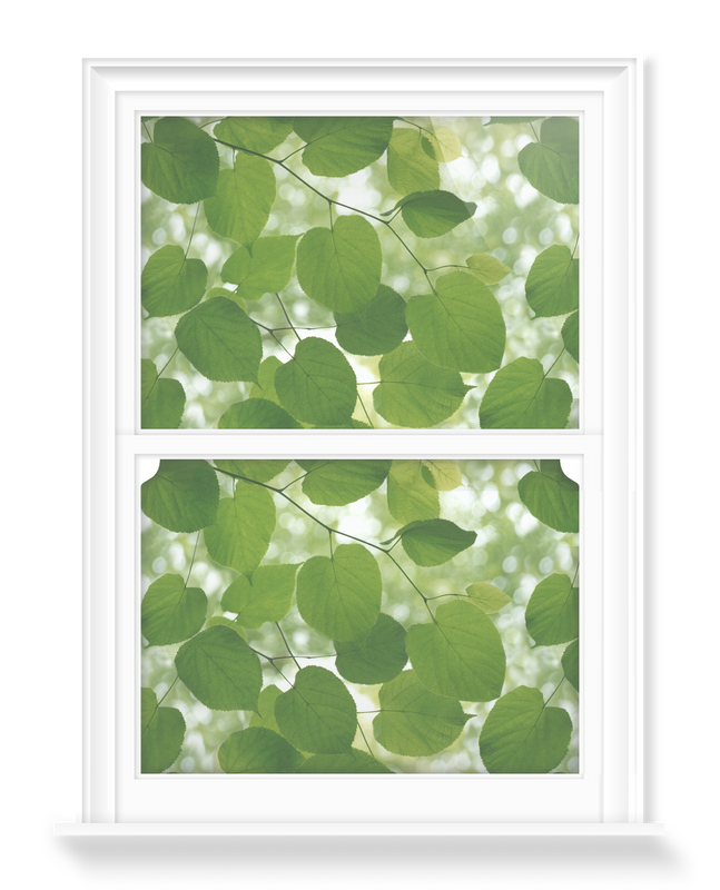 'Sunlight Through Leaves' Decorative Window Film