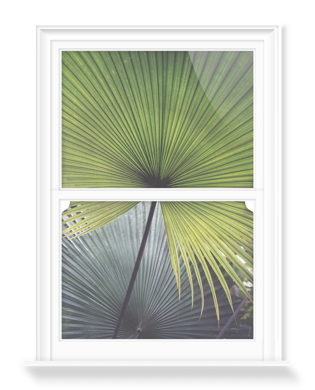 'Palm Leaf' Decorative Window Film