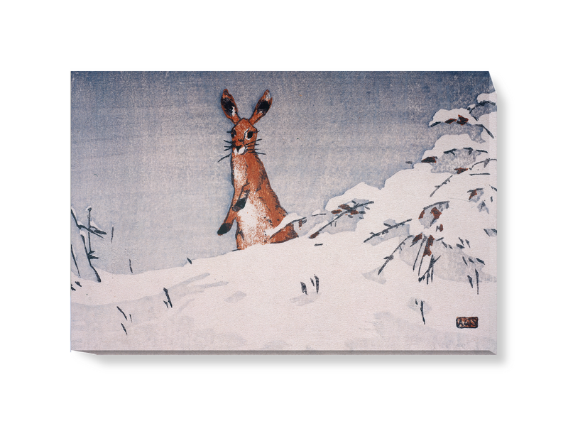 'Snow and Hare' Canvas Wall Art
