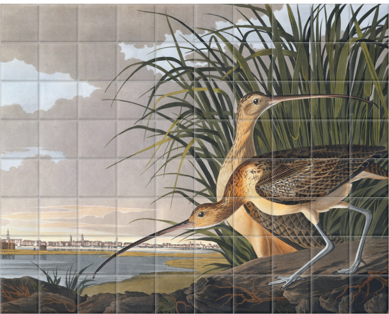 'Long-billed Curlew, Numenius americanus' Ceramic Tile Mural