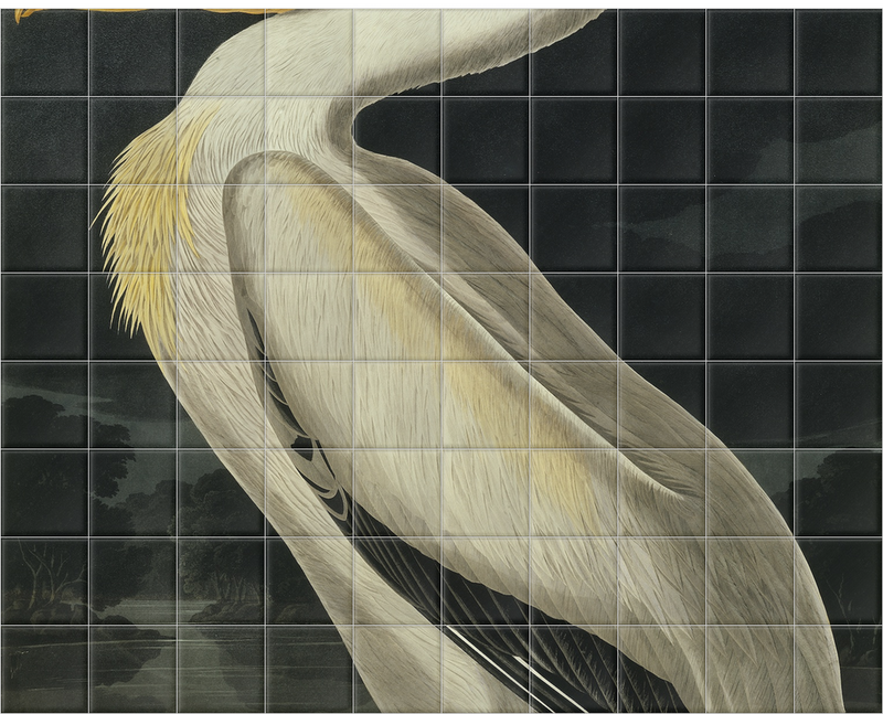 'American White Pelican, Pelecanus Erythror' Ceramic Tile Mural