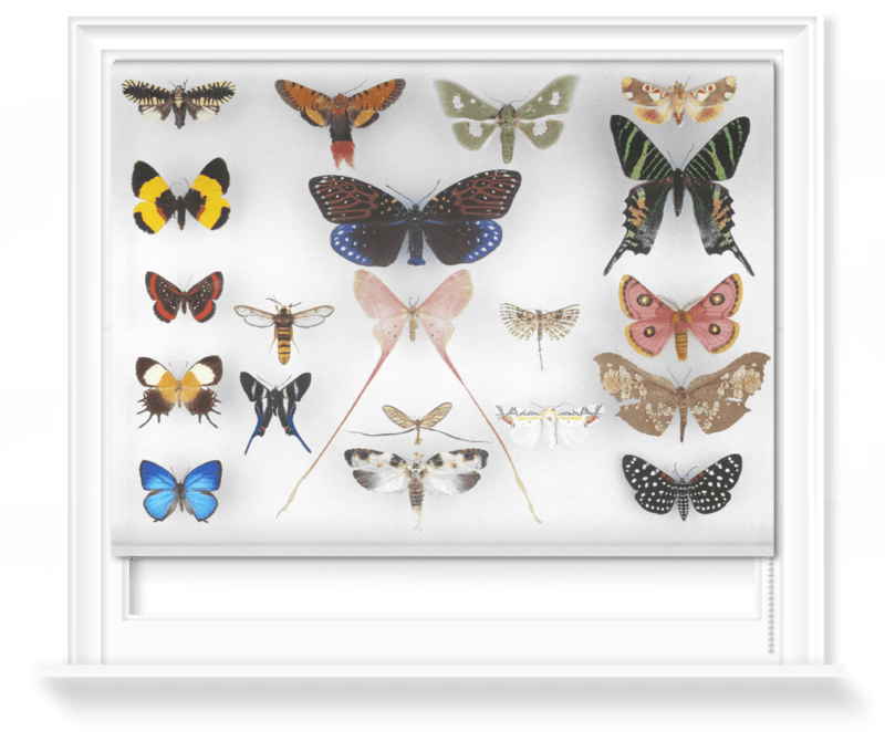 'Various Butterflies 1' Roller Blind