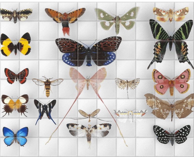 'Various Butterflies 1' Ceramic Tile Mural