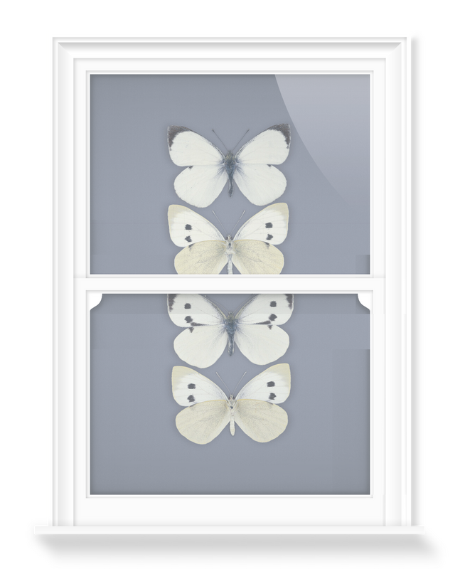 'Large White, Pieris Brassicae' Decorative Window Films