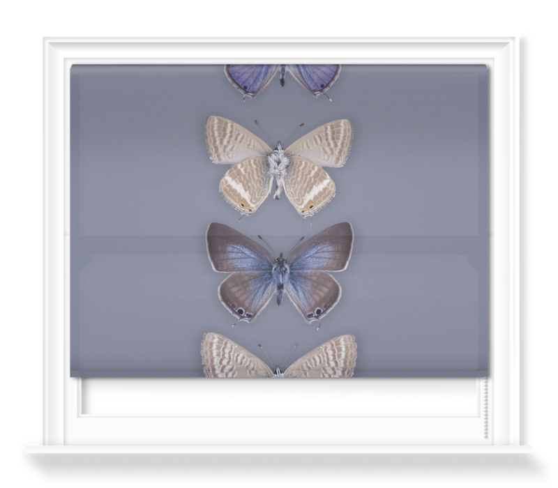 'Long-tailed Blue, Lampides Boeticus' Roller Blinds