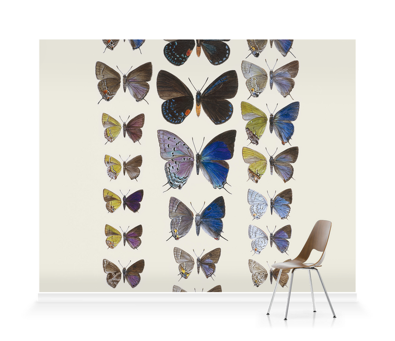 'Lycaenidae Hairstreak Butterflies' Wallpaper Mural