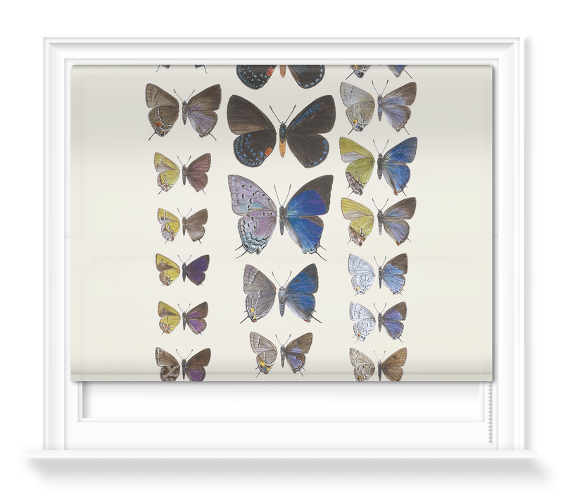 'Lycaenidae Hairstreak Butterflies' Roller Blind