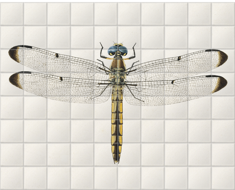 'Dragonfly 1' Ceramic Tile Mural