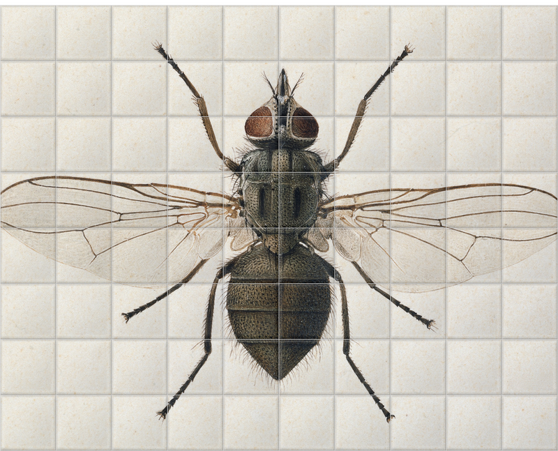 'Head Fly' Ceramic Tile Mural