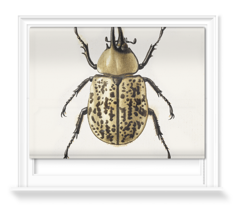 'Scarab Beetle' Roller Blind