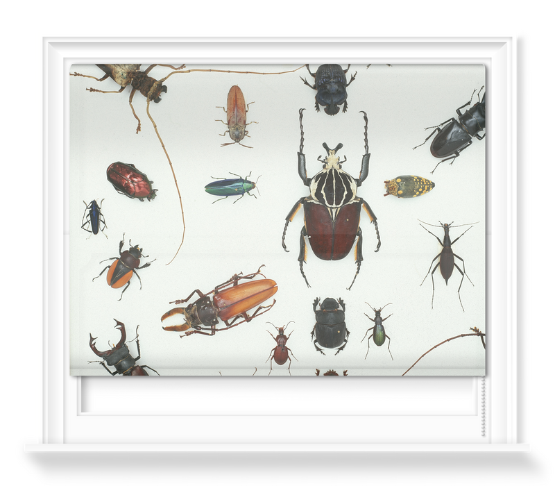 'Various Beetles 3' Roller Blind