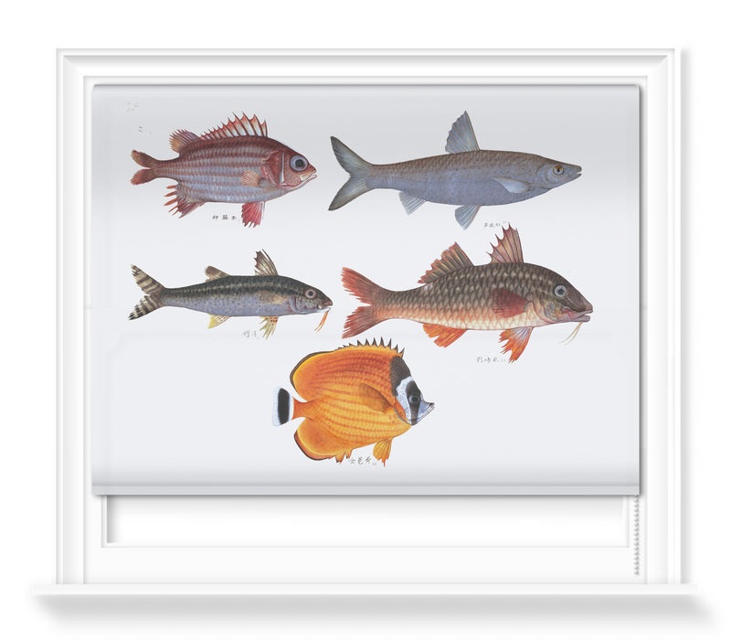 'Various Fish' Roller Blind