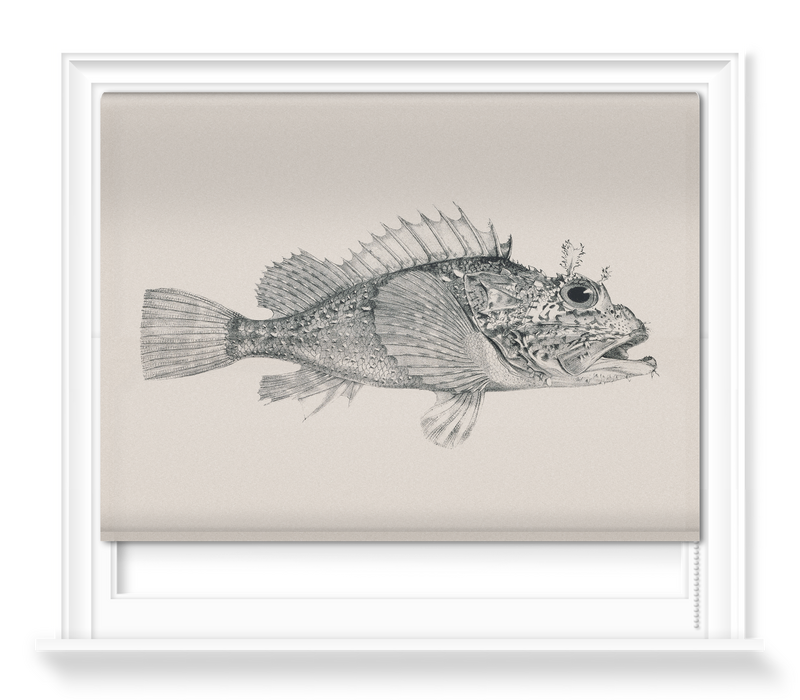 'South American Fish' Roller Blind