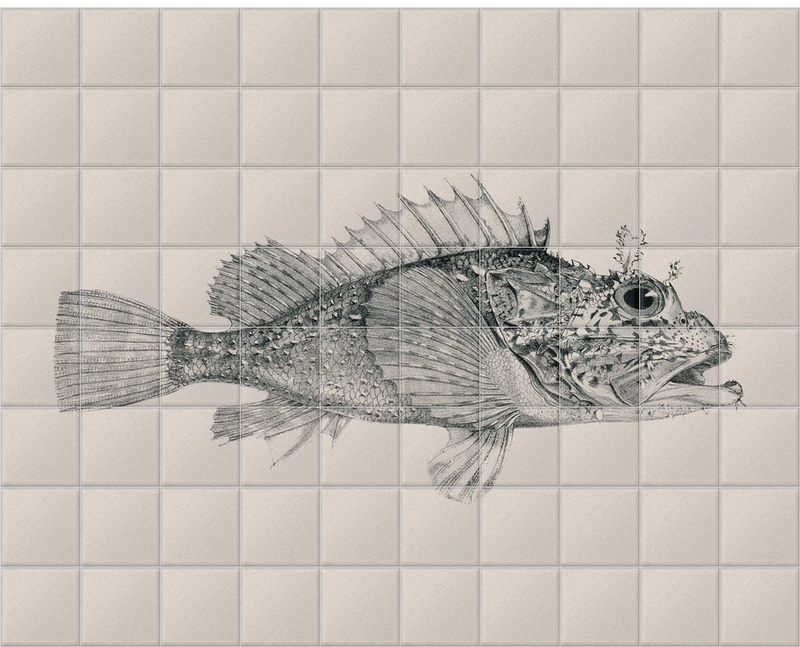 'South American Fish' Ceramic Tile Mural