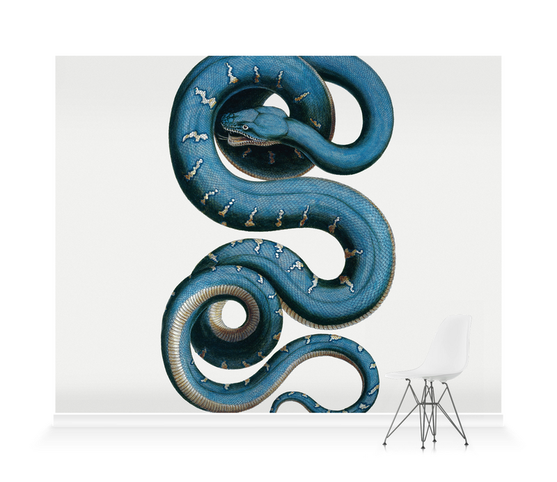 Snake' Wallpaper Mural | SurfaceView Snake' Wallpaper Mural | SurfaceView