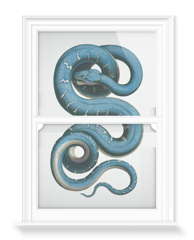 'Snake' Decorative Window Films