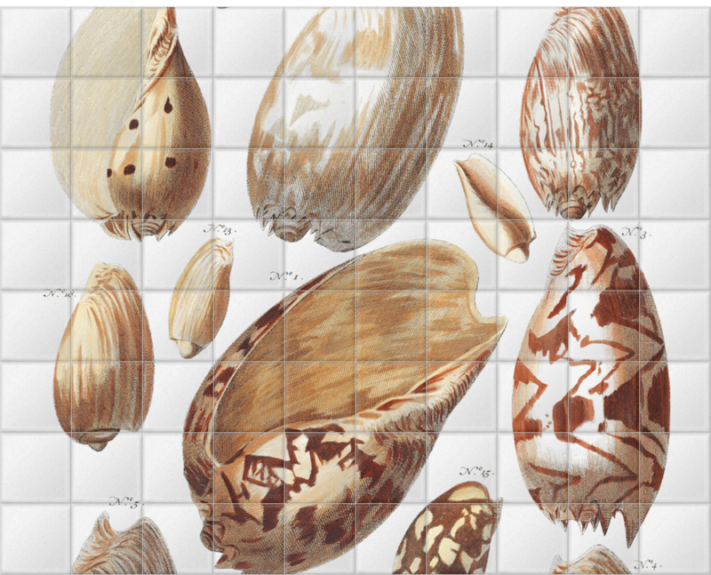 'Shells 4' Ceramic Tile Murals
