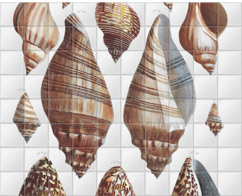 'Shells 6' Ceramic Tile Murals