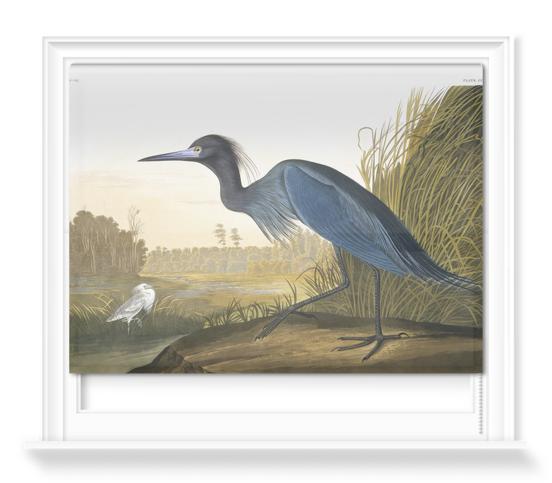 'Little Blue Heron, Egretta Caerulea' Roller Blind