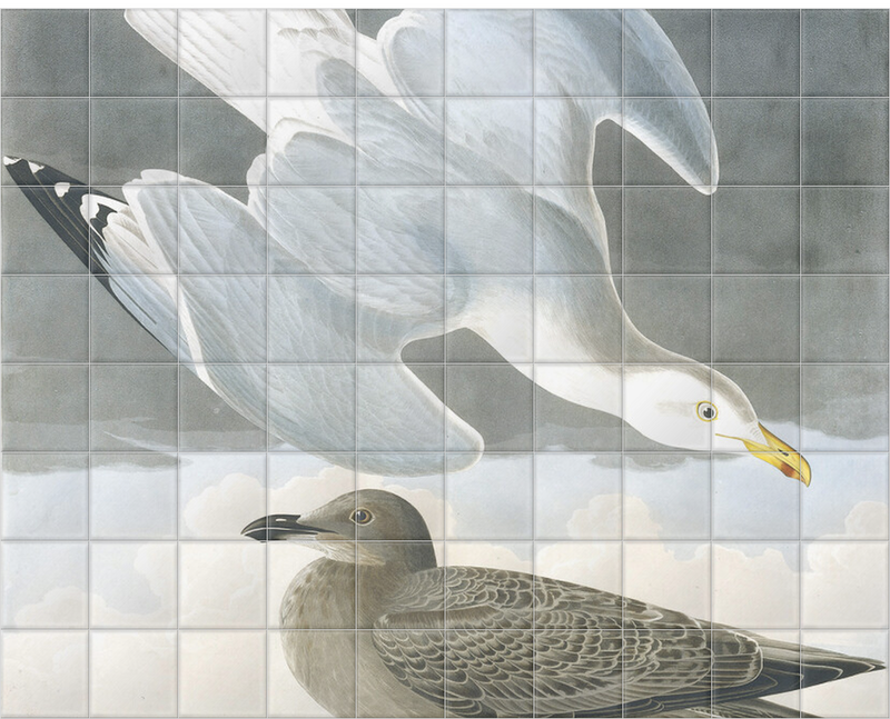 'Herring Gull, Larus Argentatus' Ceramic Tile Mural
