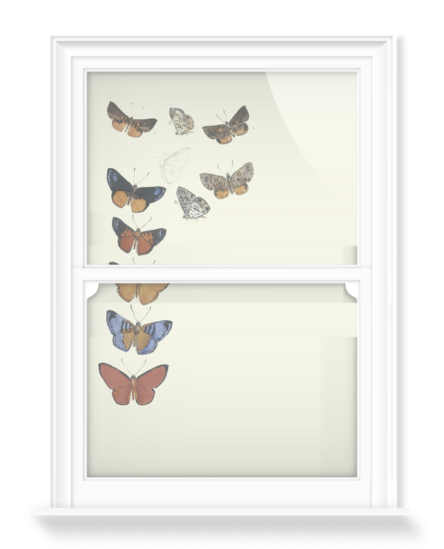 'Butterflies' Decorative Window Films