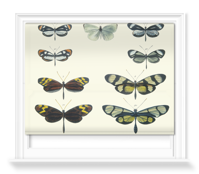 'Mimicry Among Butterflies' Roller Blinds