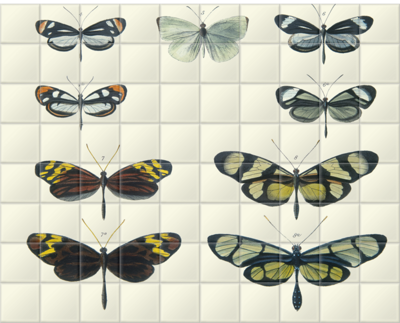 'Mimicry Among Butterflies' Ceramic Tile Murals