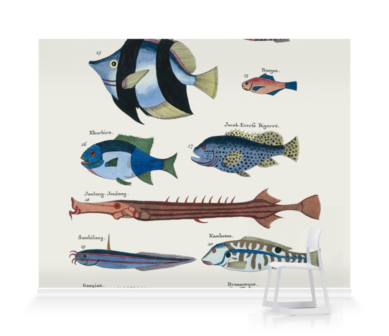 Ten Fish' Wallpaper Murals