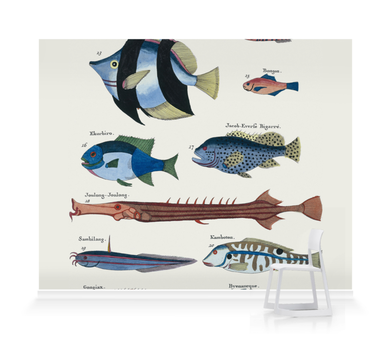 Ten Fish' Wallpaper Murals Ten Fish' Wallpaper Murals