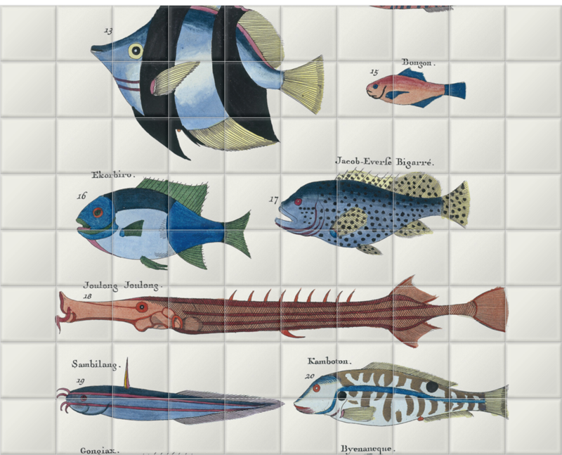 'Ten Fish' Ceramic Tile Murals