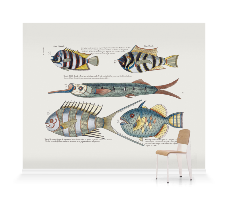 'Various Fish' Wallpaper Murals