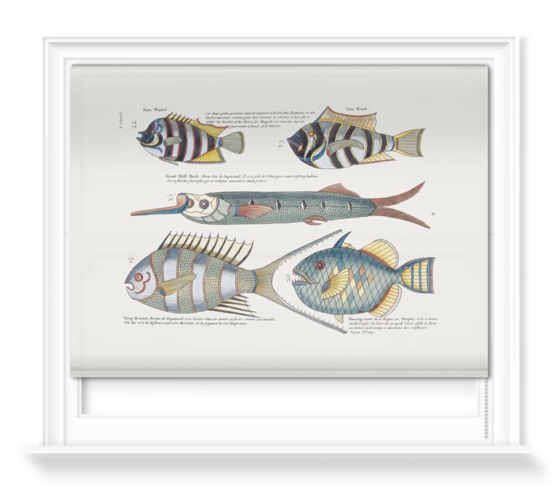 'Various Fish' Roller Blinds