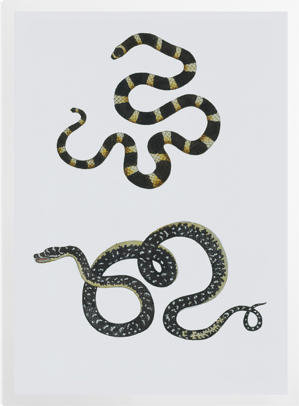 'Reptile I' Art prints