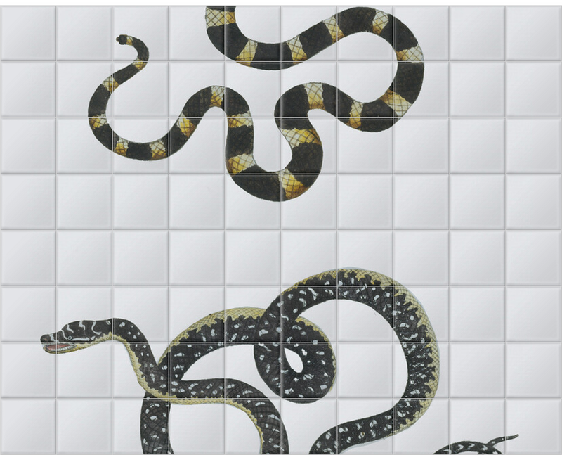 'Reptile I' Ceramic Tile Murals