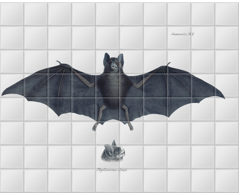 'Bat, Phyllostoma Grayi' Ceramic Tile Mural