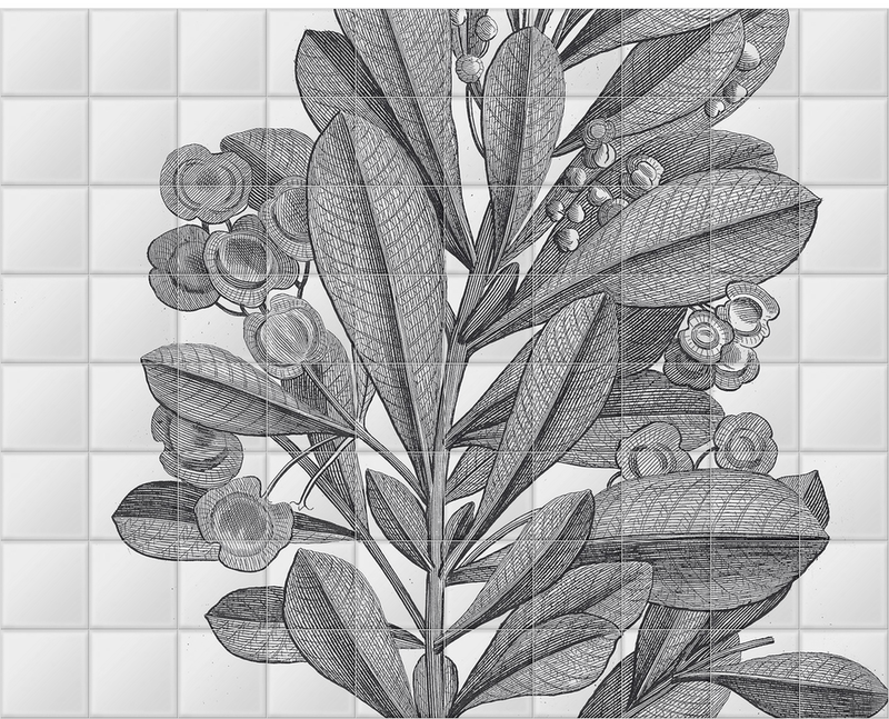 'Sloane Drawing II' Ceramic Tile Mural
