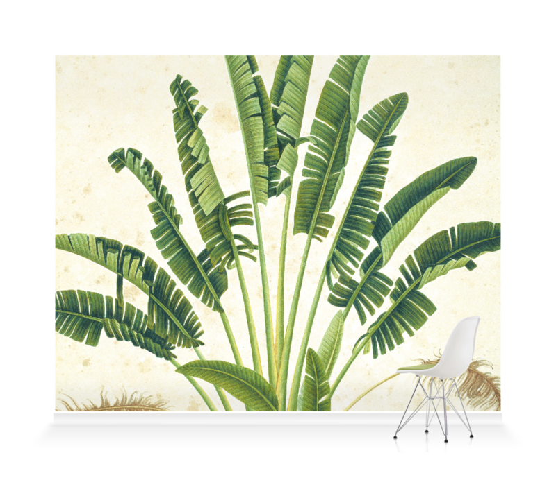 Plant Illustration' Wallpaper Mural | SurfaceView