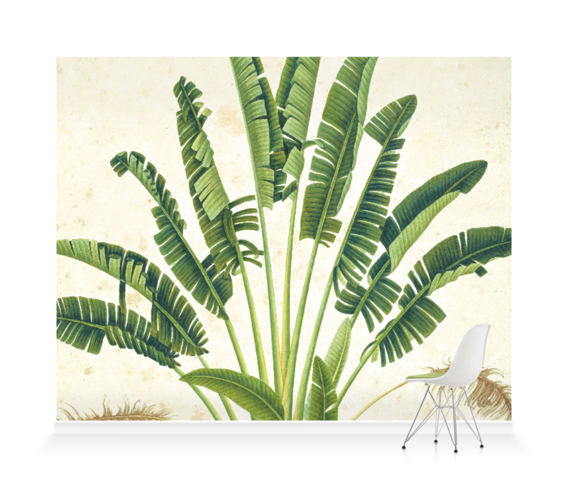 Plant Illustration' Wallpaper Mural | SurfaceView Plant Illustration' Wallpaper Mural | SurfaceView