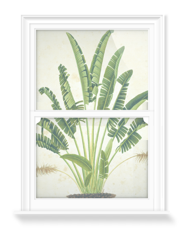 'Plant Illustration' Decorative Window Film