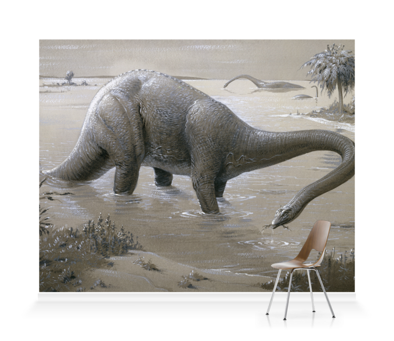 'Diplodocus' Wallpaper murals