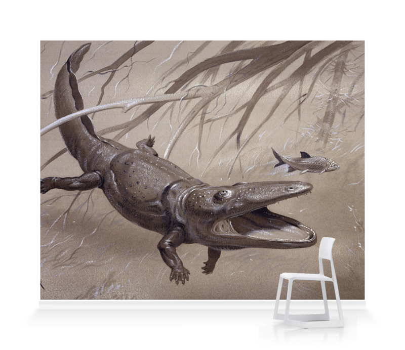 'Paracyclotosaurus' Wallpaper murals