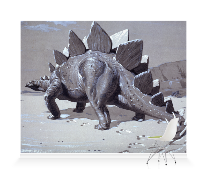 'Stegosaurus' Wallpaper murals