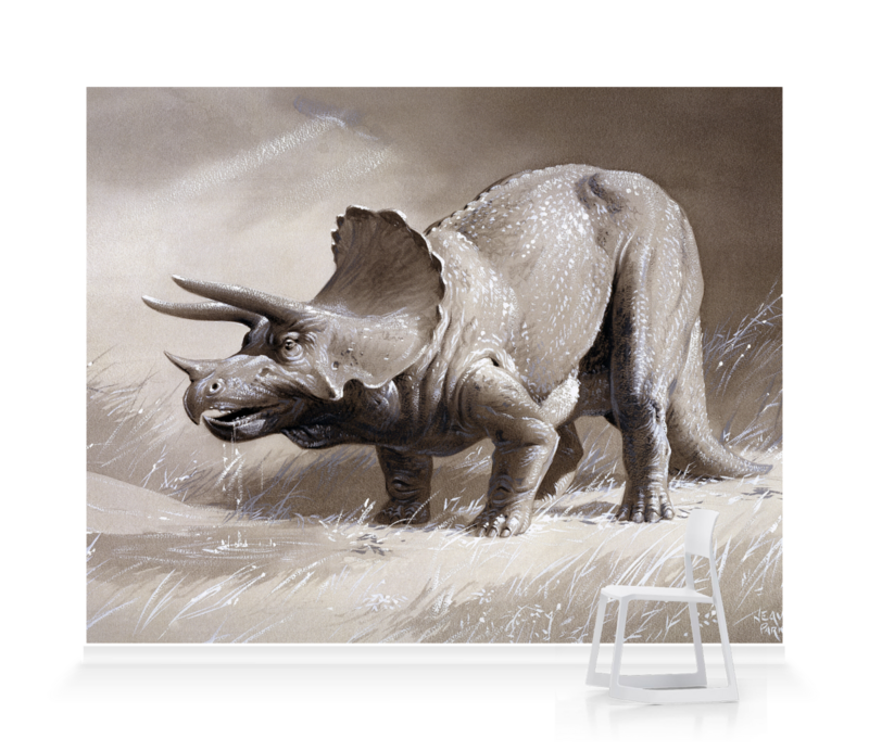 'Triceratops' Wallpaper murals