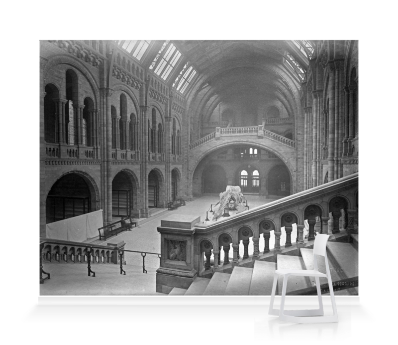 'The Natural History Museum Central Hall, Looking South' Wallpaper murals