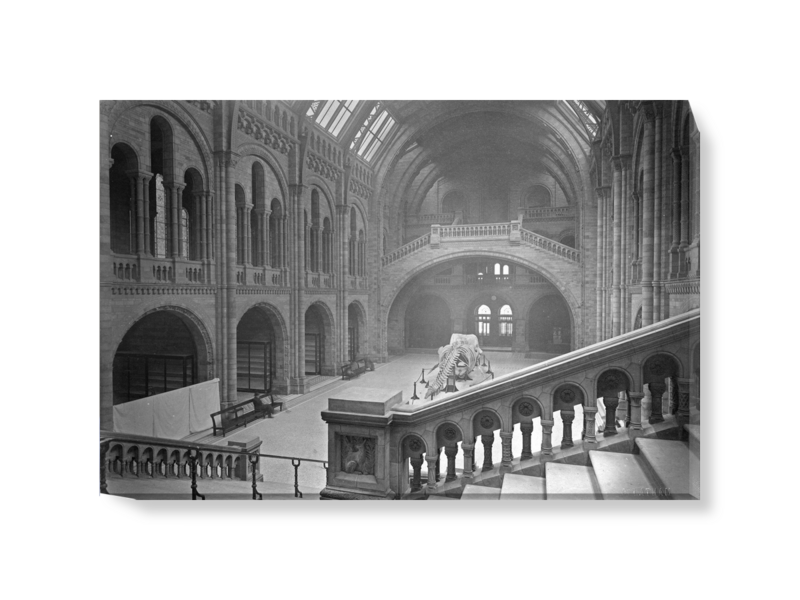 'The Natural History Museum Central Hall, Looking South' Canvas wall art