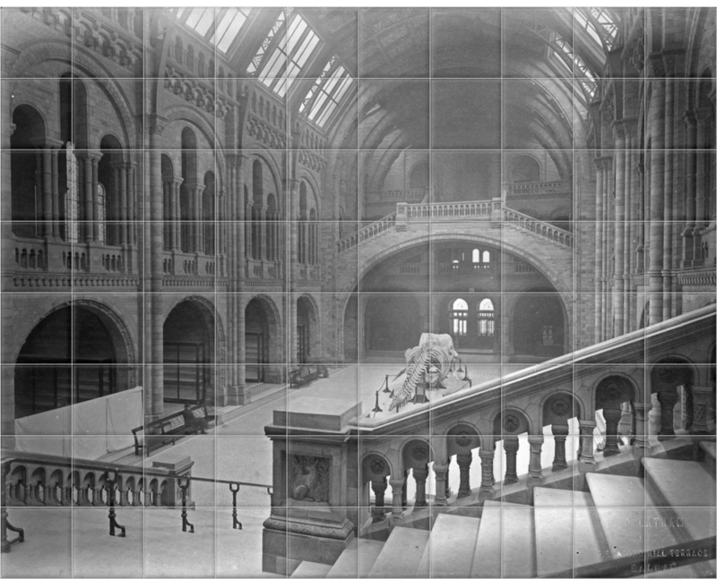 'The Natural History Museum Central Hall, Looking South' Ceramic tile murals