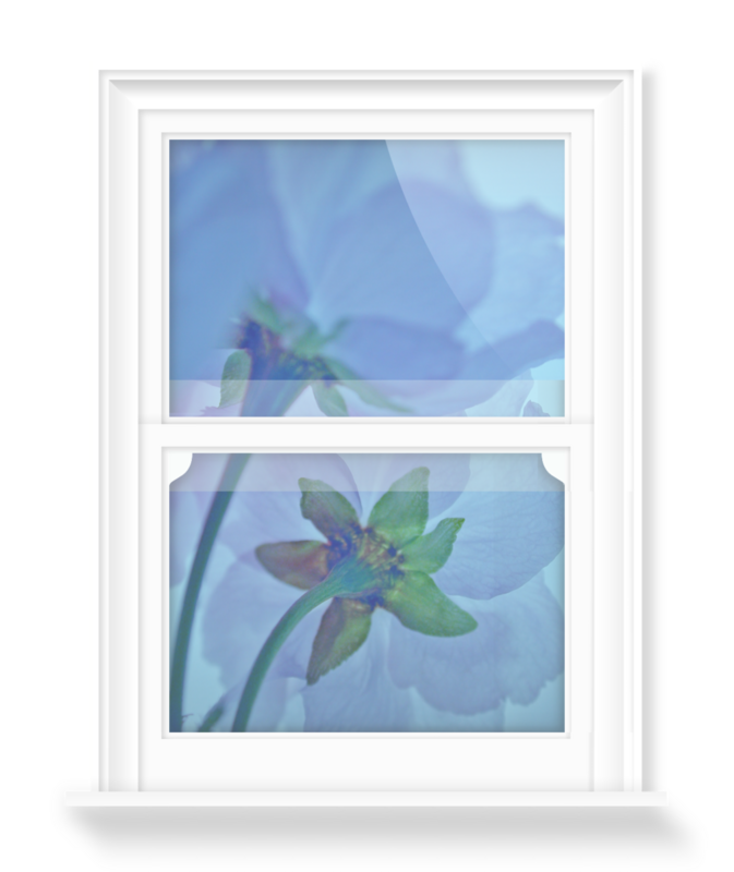 'Abstract Blue Blossom' Decorative Window Films