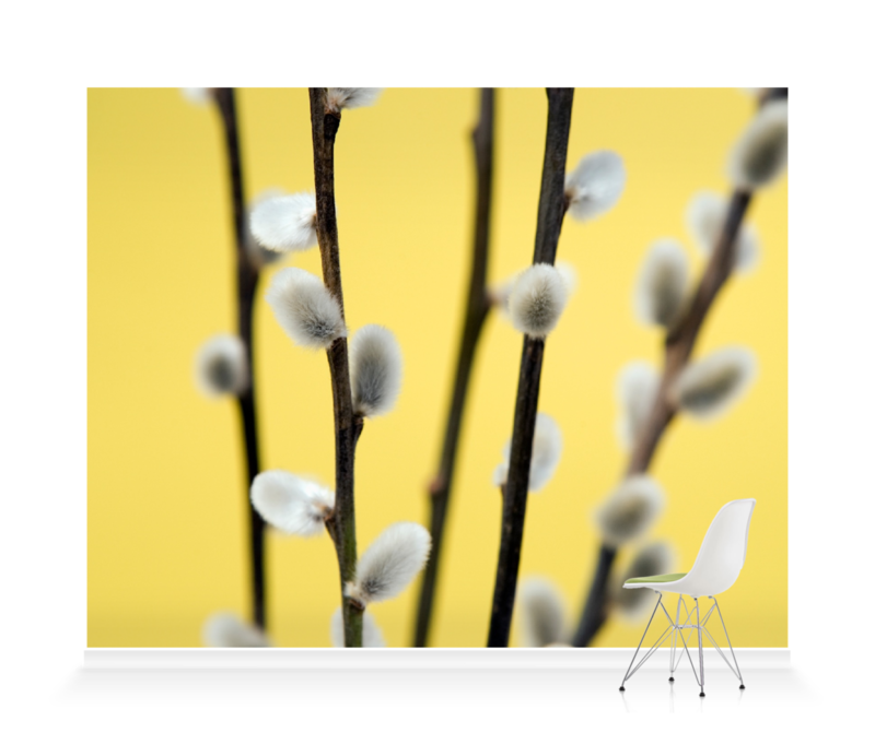 'Catkin on Yellow I' Wallpaper Mural