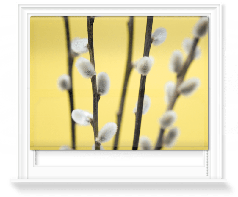 'Catkin on Yellow I' Roller Blind