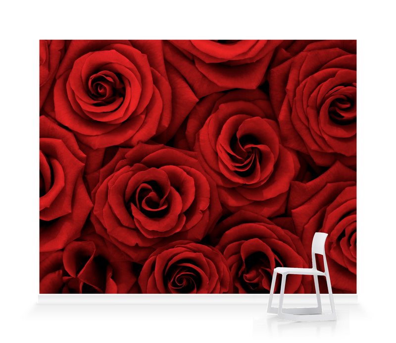 'Red Roses' Wallpaper Mural